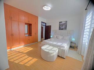 Luxurious Homely Apt 6 - 2