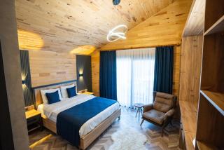 Abant Sedir Park - 1