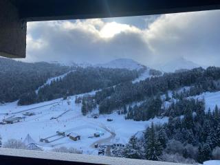 Laveissiere - Laveissière - 0