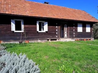 Guesthouse DARKWOOD - Vižovlje - 9