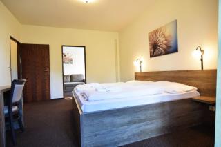 Hotel Konšel - Říčky - 9