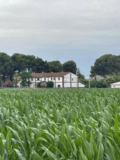 Exclusivo Loft en Zaragoza-4 - 2