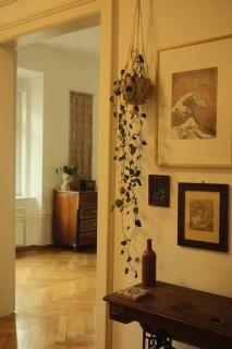 Spacious apartment in city center - 5