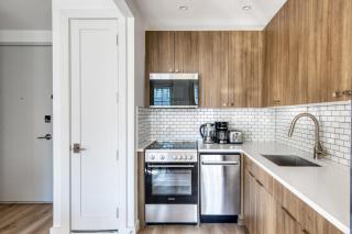 Dumbo 2br w wd roof gym nr TimeOut Building NYC-961 - 5