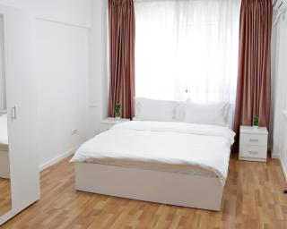 City Base I 2 BR apt Victoriei - 9
