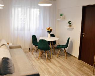 City Base I 2 BR apt Victoriei - 7