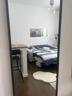 Lovely 1 bedroom Studio in Bucharest City center - Bucharest - 9