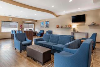 Comfort Suites Airport - Luckney - 8