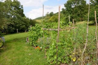 Atelier de l'Arbre-Lune - 6