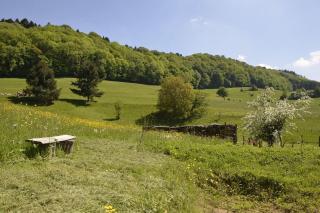 Atelier de l'Arbre-Lune - 5