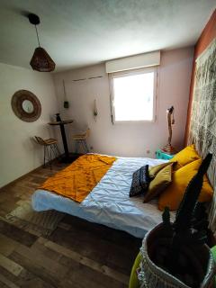Le fringant - Avignon - 1