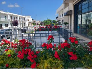 Antica Puglia - Alberobello - 0