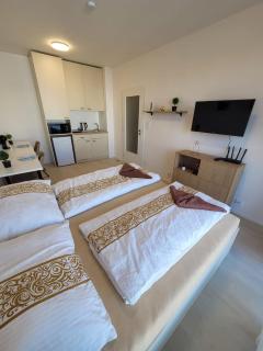 APARTIA Apartment Brno center - Brno - 9