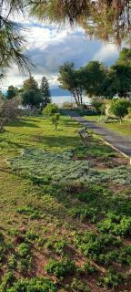 Coralia's beachfront sea view studio - Agioi Theodoroi - 6