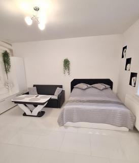 Apartament Domi - Gniezno - 1