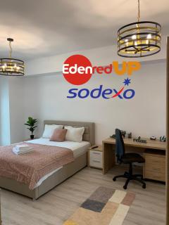 Luxury studio - Iaşi - 6