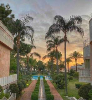 Frontline Sea en Puerto Banús Grey de Albion - 7