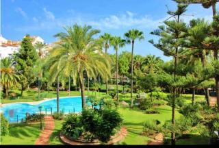 Frontline Sea en Puerto Banús Grey de Albion - 5