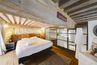 GuestReady - Magnificent duplex canut hypercentre - Lione - 4