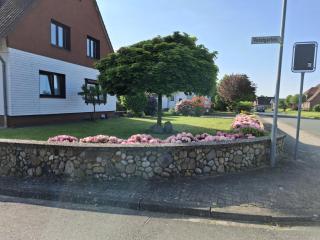 Haus am Wald - Soltau - 0