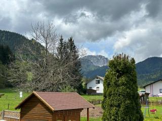 Ferienhaus Bodental - Ferlach - 4