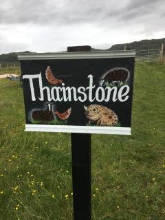 Thainstone tipi - Lochcarron - 9