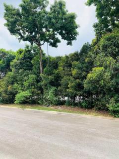 2 Storey House Near Setia City Convention Centre - Shah Alam - 9