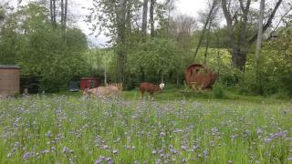 Tiny balneo proche des plages du débarquement - 1