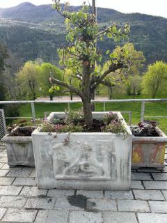 Tana della Volpe - 5