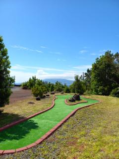 PicoTerrace - Madalena - 5