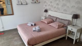 Maison avec 2 couchages piscine privative - Ajaccio - 9