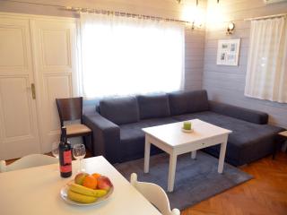 Apartments Antonella - Zagreb - 5
