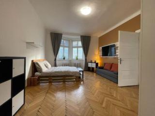 Spacious Apartment Ostrava centrum - Ostrava - 8
