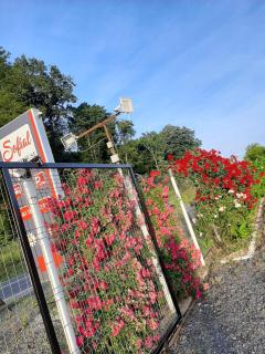 Sofial Guesthouse - 7