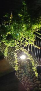 Casa in campagna - Camorino - 1