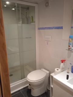 appartement refait neuf meublé 2 pieces - 1