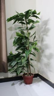 lush apartment's - Islamabad - 2