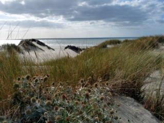 Mil Roses en Baie - Saint-Quentin-en-Tourmont - 4