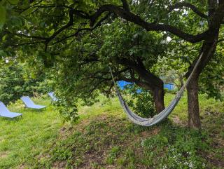 Gîte du tilleul - 2 étoiles - domaine de l'olivier - 5