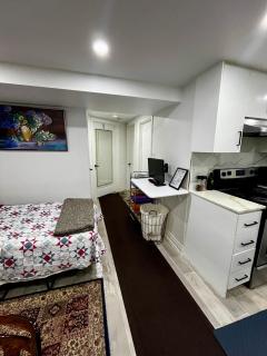 Brand new single unit guest basement apartment - 2