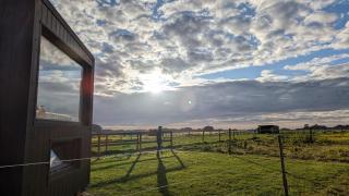 Tiny House La Cavalerie, au milieu des chevaux ! - 4