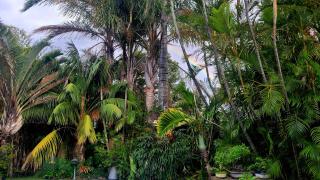 Kennington Palms B&B/Self Catering - East London - 1