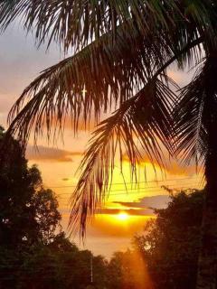 Casa em condomínio - Ilha Bela - Ilhabela - 1