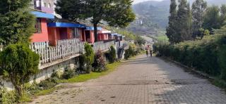 Green County Resort - Ooty - 4
