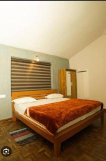 Green County Resort - Ooty - 3