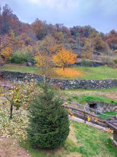 Le Sapin des Vuillermin CIR0080 - Saint Vincent - 7