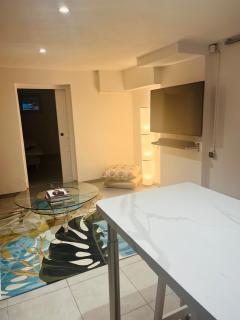 Chic and Peaceful apartment Roissy Charles de Gaulle Airport 15mins-Parc des Expositions Villepinte 10mins- Disneyland 30mins - Tremblay-en-France - 5