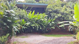 Cabinas fave - Uvita - 8