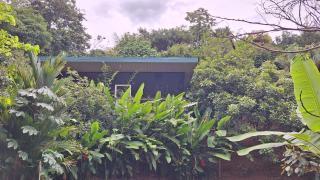 Cabinas fave - Uvita - 0