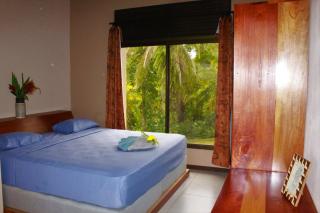 Villas Corcovado-AC-Jacuzzi-Pool-Great Views-Nature-Relaxing - Puerto Jiménez - 3